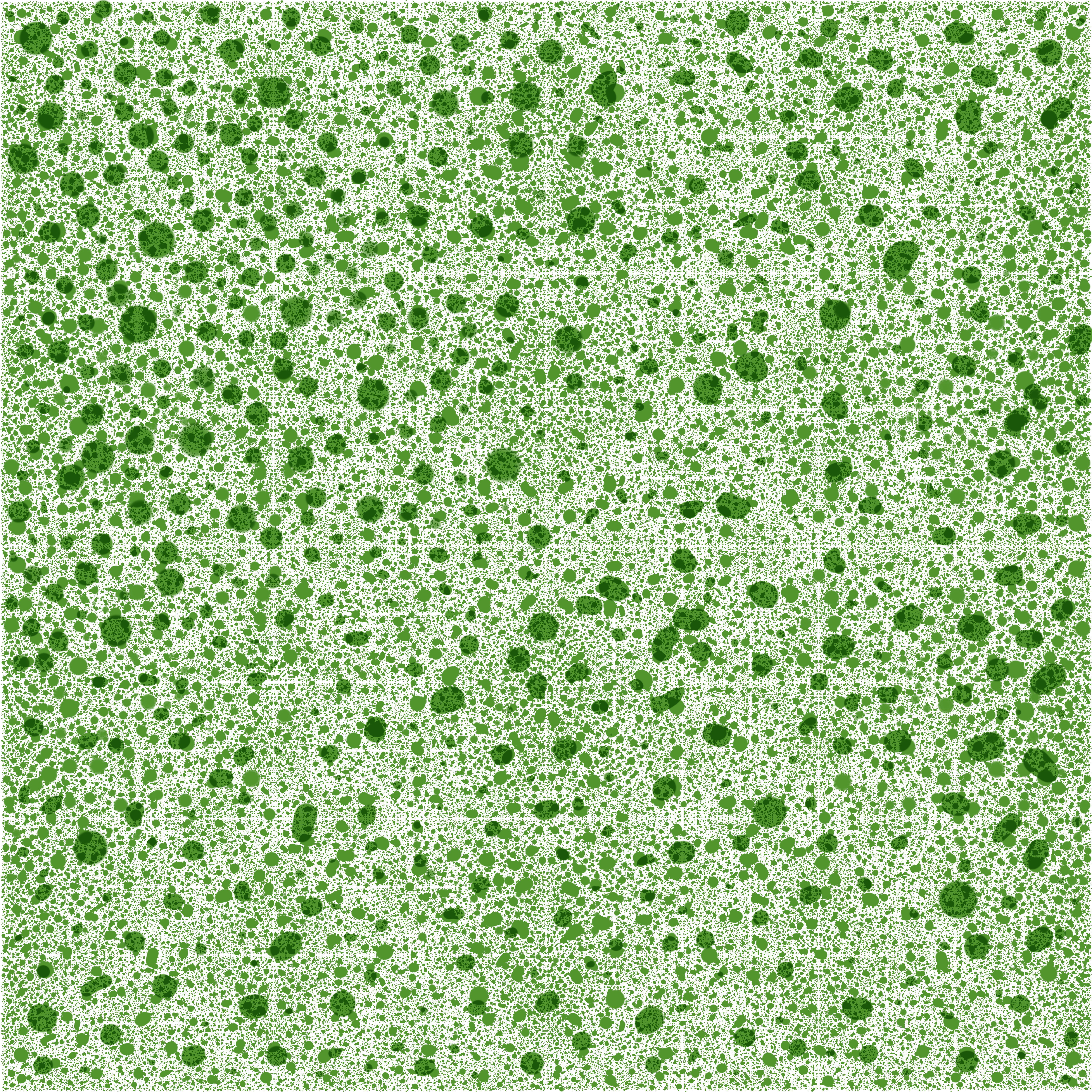 DOTTY