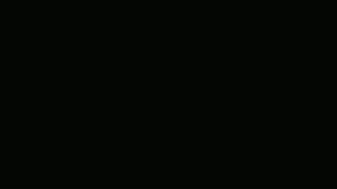 Chopin at 1:22 before the fix: an almost black frame