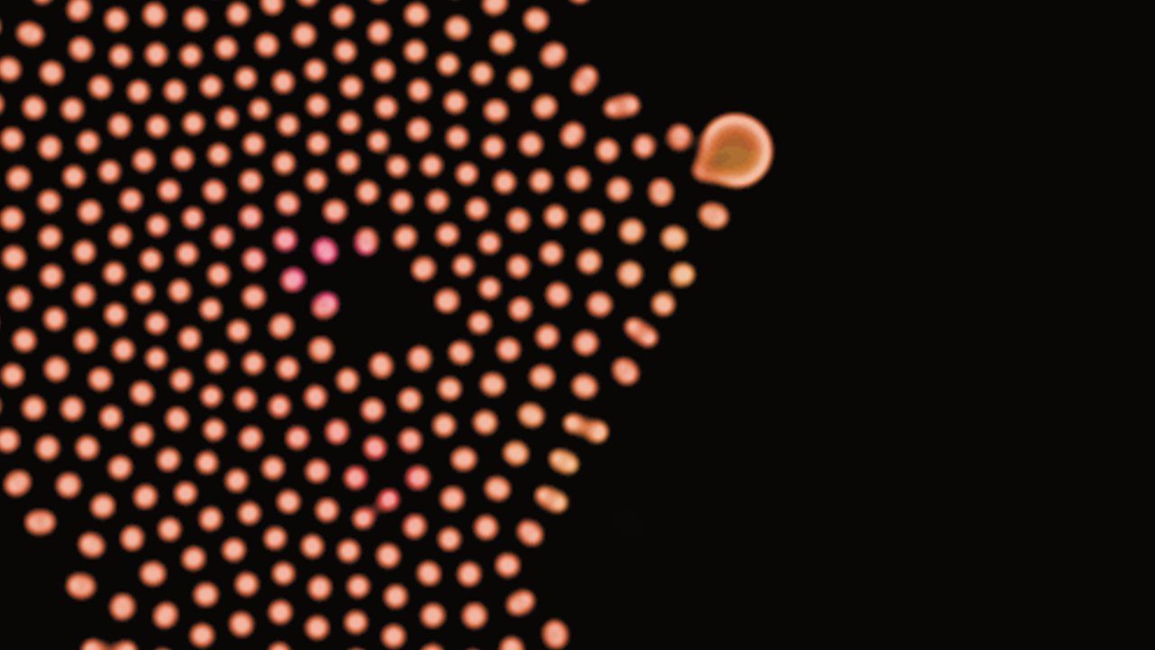 cells: gray-scott spots and worms