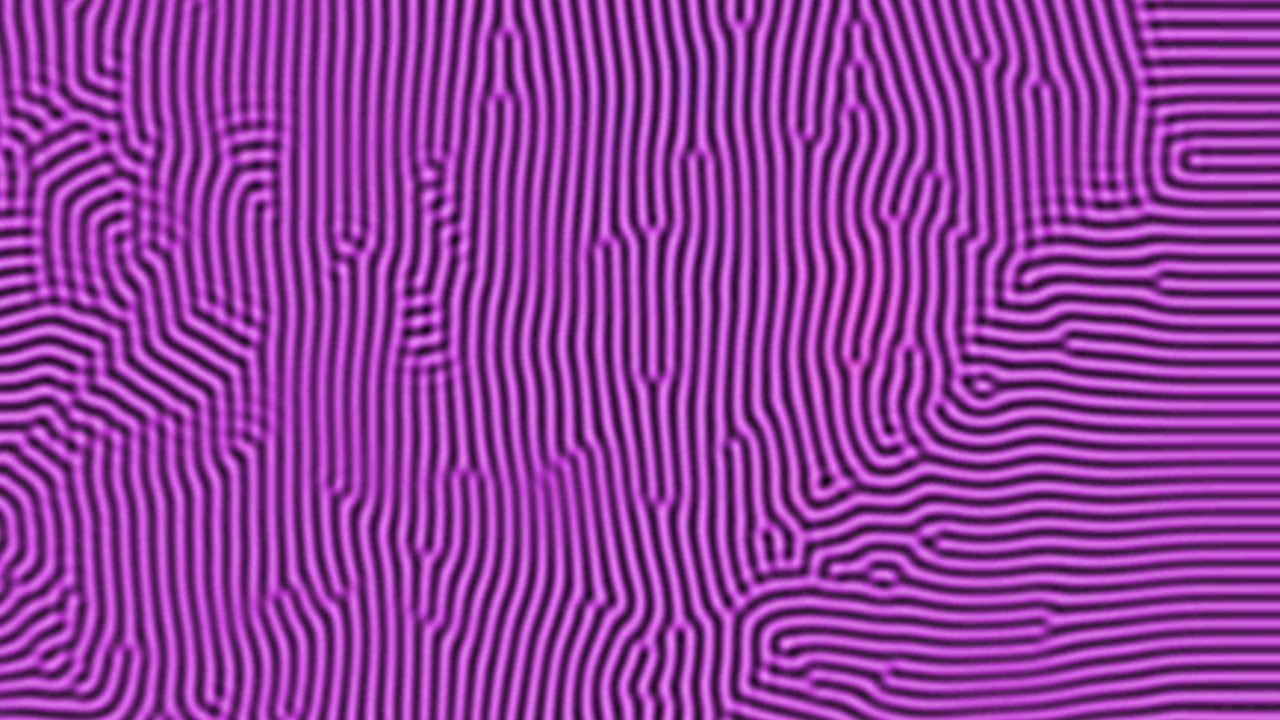 ridges: dense wandering stripes