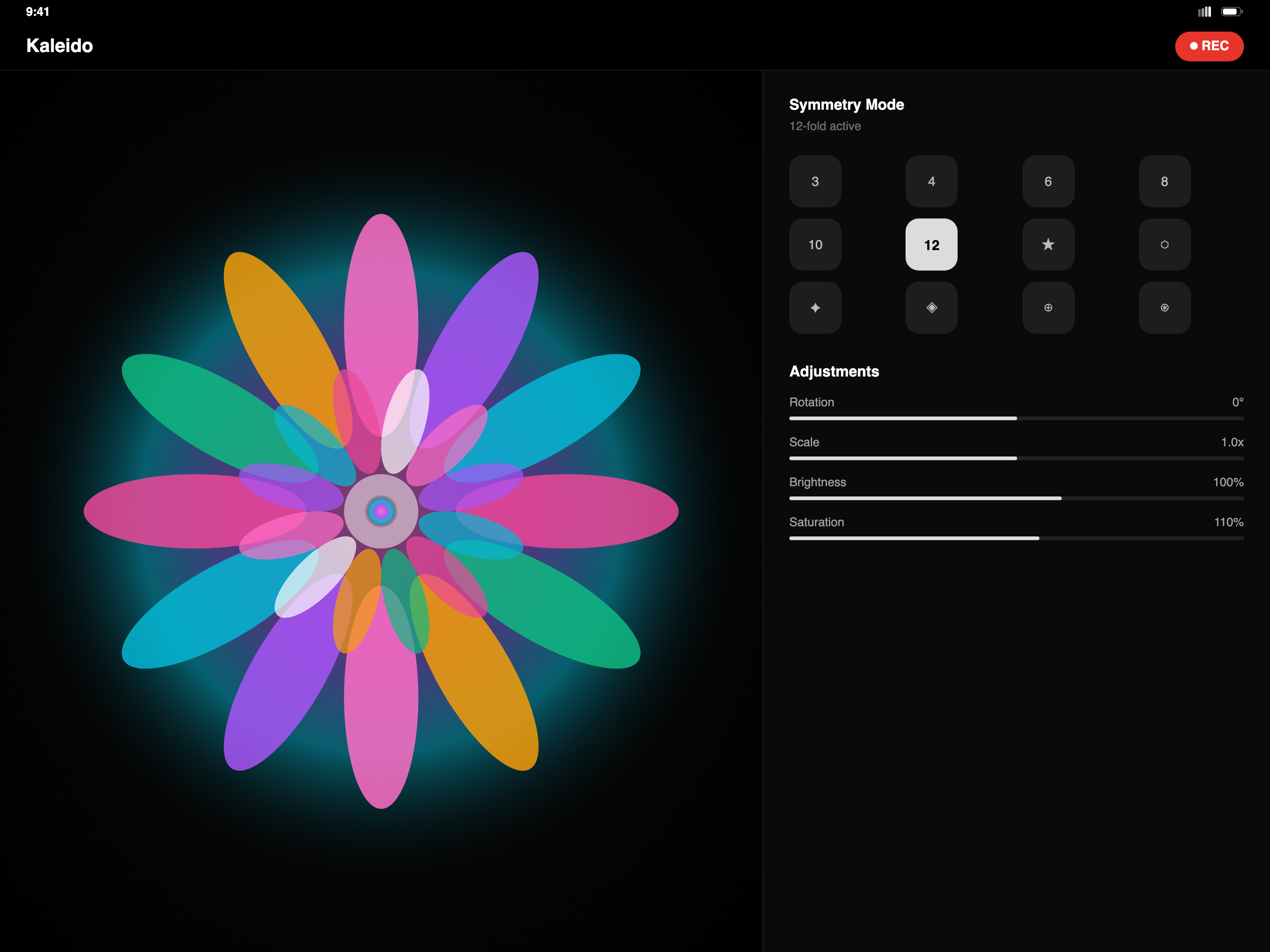Kaleido on iPad